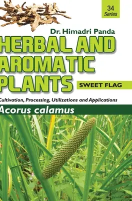 PLANTE ERBACEE ȘI AROMATICE - 34. Acorus calamus (Steag dulce) - HERBAL AND AROMATIC PLANTS - 34. Acorus calamus (Sweet Flag)