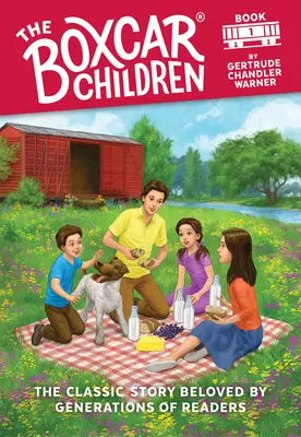 Copiii Boxcar - The Boxcar Children