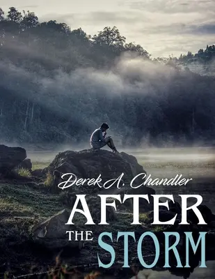 După furtună - After The Storm