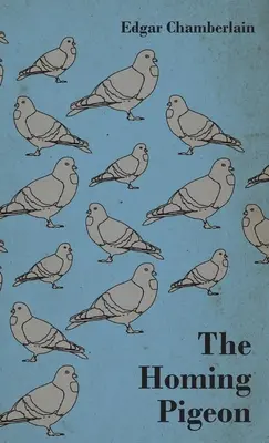 Porumbelul călător (The Homing Pigeon) - The Homing Pigeon