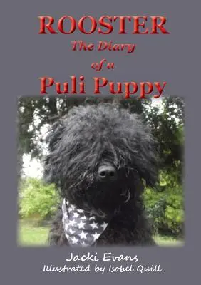 Rooster - jurnalul unui cățeluș Puli - Rooster - the Diary of a Puli Puppy