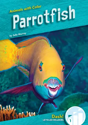 Pești papagal - Parrotfish