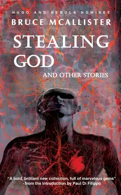 Furtul lui Dumnezeu și alte povestiri - Stealing God And Other Stories