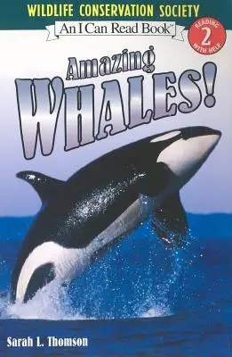 Balene uimitoare! - Amazing Whales!