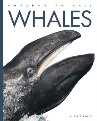 Balene - Whales