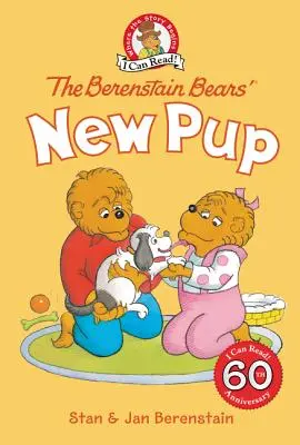 Noul cățel al urșilor Berenstain - The Berenstain Bears' New Pup