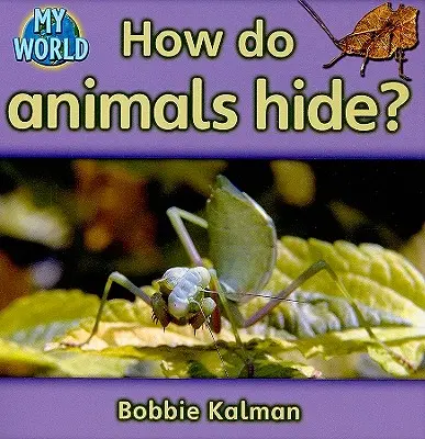 Cum se ascund animalele? - How Do Animals Hide?