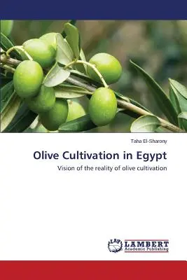 Cultivarea măslinilor în Egipt - Olive Cultivation in Egypt