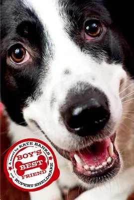 Cel mai bun prieten al băiatului - Boy's Best Friend