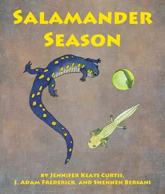 Sezonul salamandrelor - Salamander Season