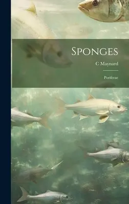 Bureți; Poriferae - Sponges; Poriferae