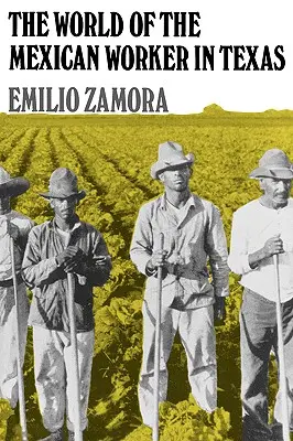 Lumea muncitorului mexican în Texas - The World of the Mexican Worker in Texas