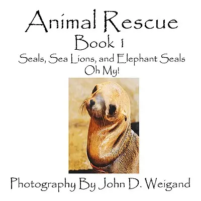 Animal Rescue, Book 1, Seals, Sea Lions And Elephant Seals, Oh My!