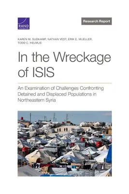În ruinele ISIS: O examinare a provocărilor cu care se confruntă populațiile reținute și strămutate în nord-estul Siriei - In the Wreckage of ISIS: An Examination of Challenges Confronting Detained and Displaced Populations in Northeastern Syria