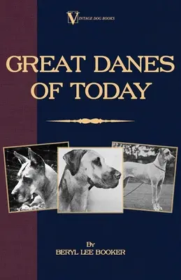 Danezii mari de azi - Great Danes of Today