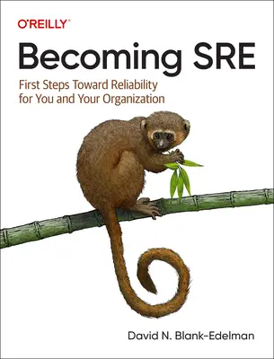 Devenind SRE: Primii pași către fiabilitate pentru tine și organizația ta - Becoming SRE: First Steps Toward Reliability for You and Your Organization