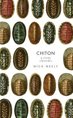 Chiton și alte creaturi - Chiton & Other Creatures