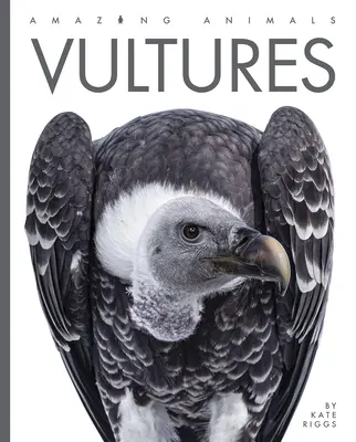 Vulturi - Vultures