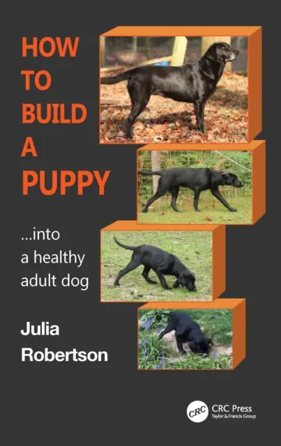 Cum să construiești un cățeluș: Într-un câine adult sănătos - How to Build a Puppy: Into a Healthy Adult Dog