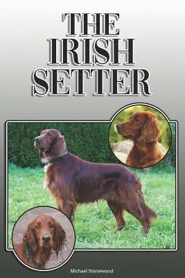 Setterul irlandez: A Complete and Comprehensive Owners Guide To: Cumpărarea, Deținerea, Sănătatea, Îngrijirea, Dresajul, Obediența, Înțelegerea și - The Irish Setter: A Complete and Comprehensive Owners Guide To: Buying, Owning, Health, Grooming, Training, Obedience, Understanding and