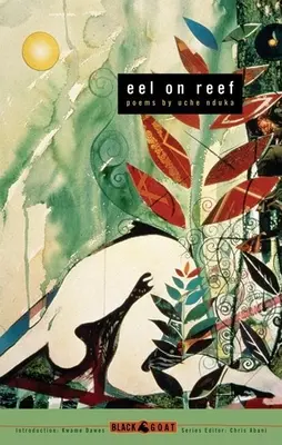 Anghilă pe recif - Eel on Reef
