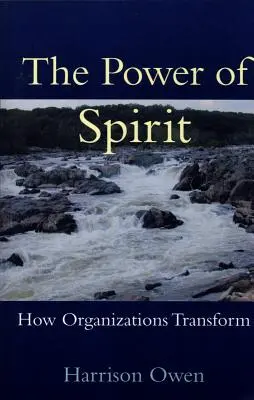 Puterea spiritului: Cum se transformă organizațiile - The Power of Spirit: How Organizations Transform