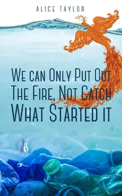 Putem doar să stingem focul, nu să prindem ce l-a pornit. - We can Only Put Out The Fire, Not Catch What Started it.