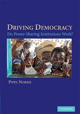 Promovarea democrației: Funcționează instituțiile de partajare a puterii? - Driving Democracy: Do Power-Sharing Institutions Work?