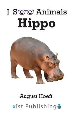 Hipopotam - Hippo