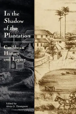În umbra plantației - In the Shadow of the Plantation