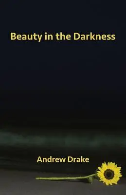 Frumusețe în întuneric - Beauty in the Darkness