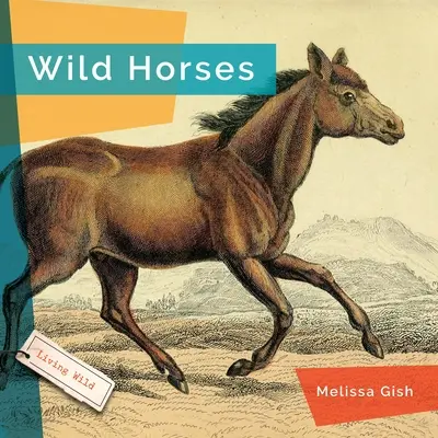 Cai sălbatici - Wild Horses