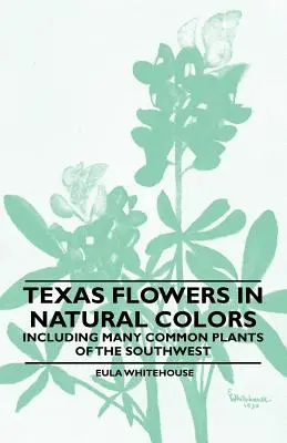 Flori din Texas în culori naturale - inclusiv multe plante comune din sud-vest - Texas Flowers in Natural Colors - Including Many Common Plants of the Southwest