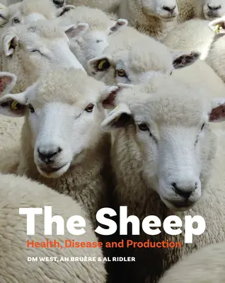 Oaia: sănătate, boli și producție - The Sheep: Health, Disease and Production