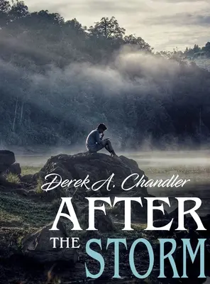După furtună - After The Storm