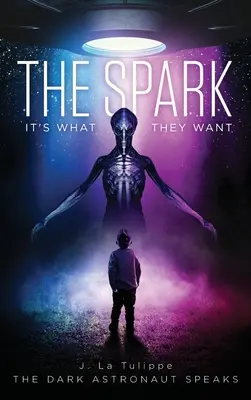 The Spark: Este ceea ce vor ei - The Spark: It's What They Want