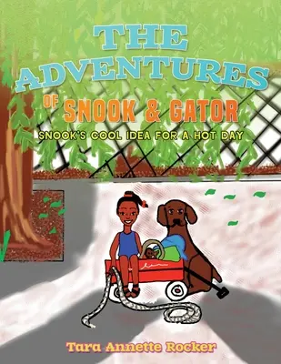 Aventurile lui Snook & Gator: Ideea grozavă a lui Snook pentru o zi fierbinte - The Adventures of Snook & Gator: Snook's Cool Idea for A Hot Day