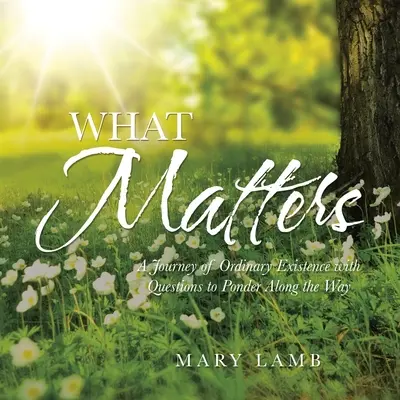 Ce contează: O călătorie a existenței obișnuite cu întrebări de meditat de-a lungul drumului - What Matters: A Journey of Ordinary Existence with Questions to Ponder Along the Way
