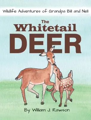 Cerbul cu coada albă - The Whitetail Deer