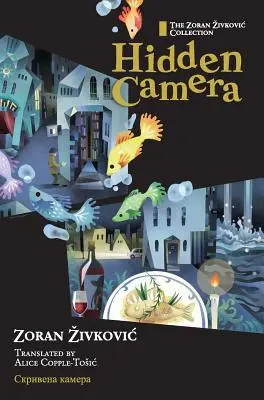 Camera ascunsă - Hidden Camera