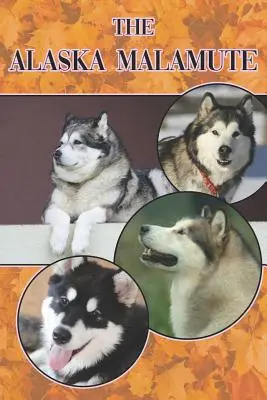 Malamutul de Alaska: Un Ghid Complet și Comprehensiv Pentru Începători Pentru: Cumpărarea, Deținerea, Sănătatea, Îngrijirea, Dresajul, Obediența, Înțelegerea - The Alaska Malamute: A Complete and Comprehensive Beginners Guide To: Buying, Owning, Health, Grooming, Training, Obedience, Understanding