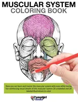 Carte de colorat cu sistemul muscular - Muscular System Coloring Book