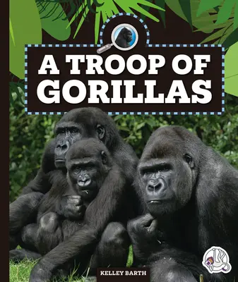 O trupă de gorile - A Troop of Gorillas