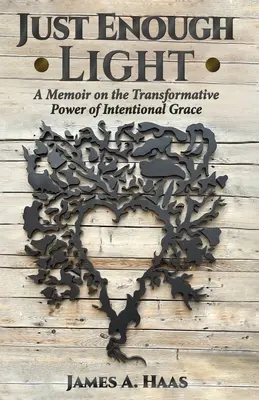 Just Enough Light: A Memoir on the Transformative Power of Intentional Grace (Memorii despre puterea transformatoare a harului intenționat) - Just Enough Light: A Memoir on the Transformative Power of Intentional Grace