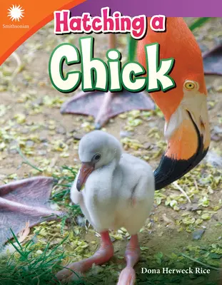 Scoaterea unui pui - Hatching a Chick