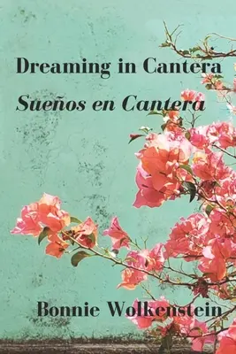 Visând în Cantera / Sueos en Cantera - Dreaming in Cantera / Sueos en Cantera