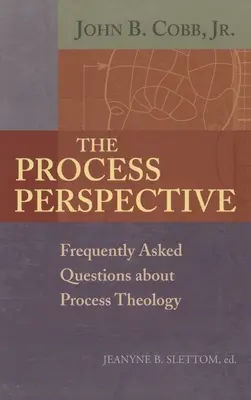 Perspectiva procesului - The Process Perspective