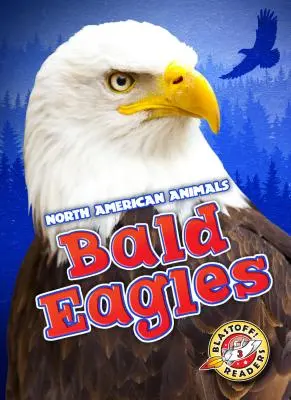 Vulturi chei - Bald Eagles