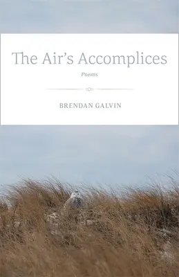 Complicii aerului: Poezii - The Air's Accomplices: Poems