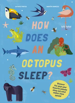 Cum doarme un caracatiță? Descoperă felul în care dorm animalele tale preferate - How Does an Octopus Sleep?: Discover the Ways Your Favorite Animals Sleep